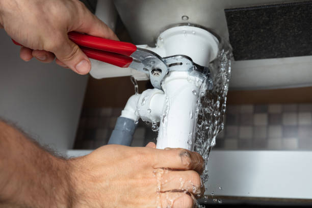 Best Water damage restoration mold remediation  in Weldon, NC