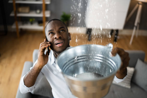 Best Water damage restoration near me  in Weldon, NC