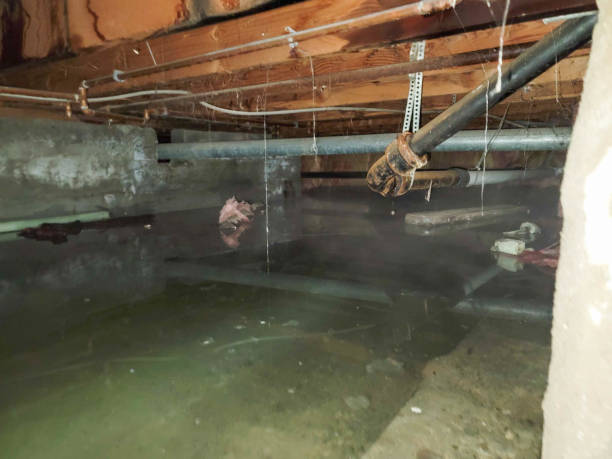 Best Commercial water damage restoration  in Weldon, NC
