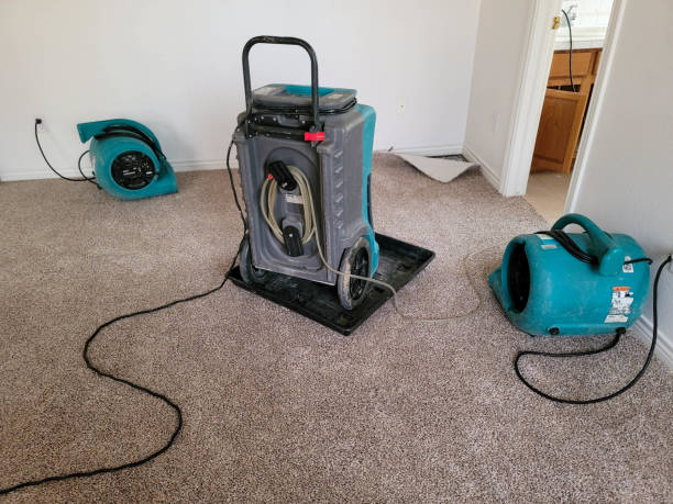 Best Water damage restoration process  in Weldon, NC