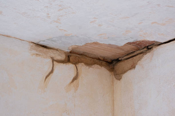 Best Commercial water damage restoration  in Weldon, NC