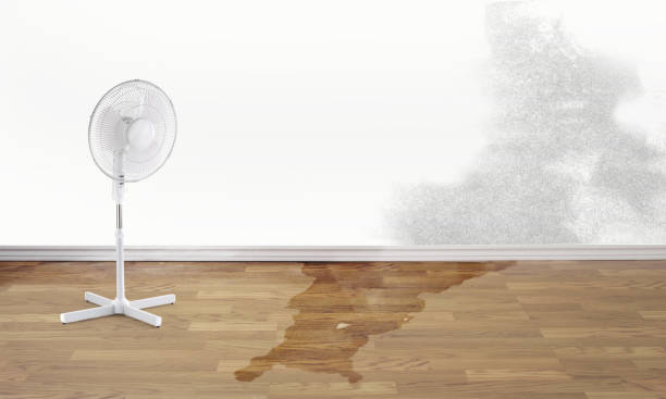 Best Ceiling water damage repair  in Weldon, NC