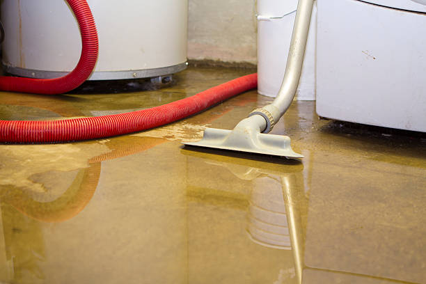 Best Mold removal after water damage  in Weldon, NC