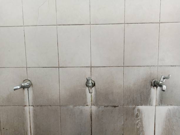 Best Water damage restoration near me  in Weldon, NC
