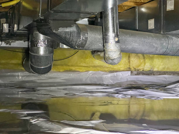 Best Flooded house restoration  in Weldon, NC
