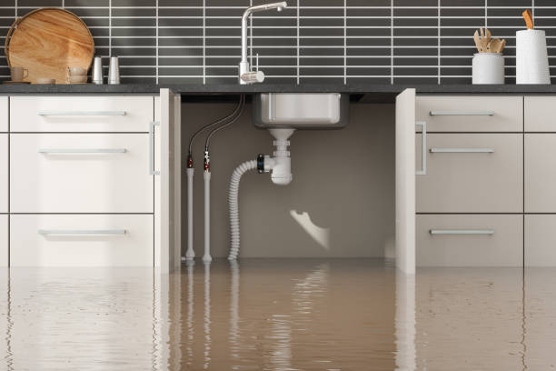 Best Water damage contractors near me  in Weldon, NC